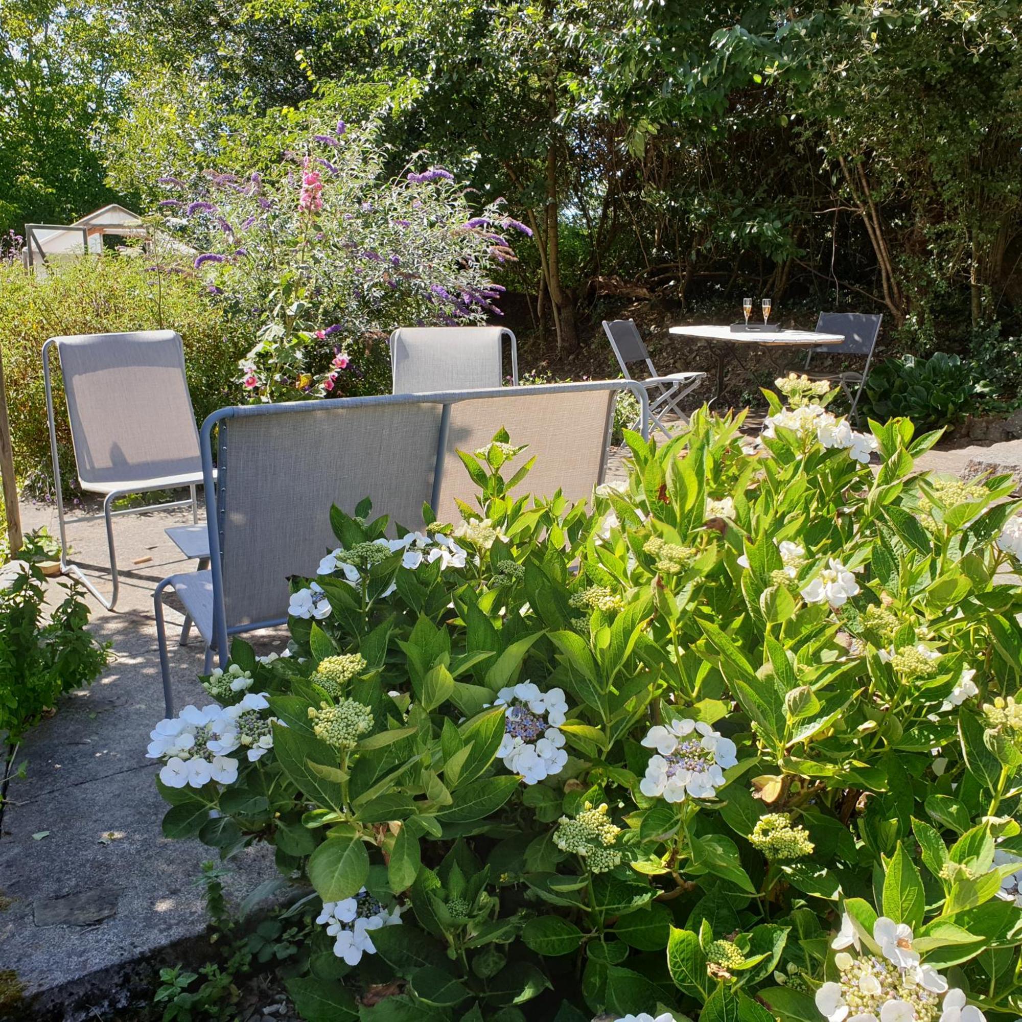 Gite De La Founauderie Roncey Exteriér fotografie